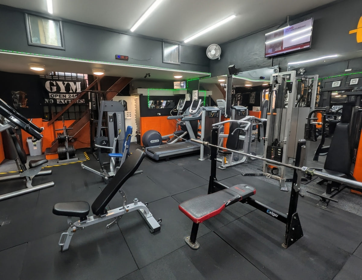 Benches and racks at Phoenix Fitness gym in Harrogate