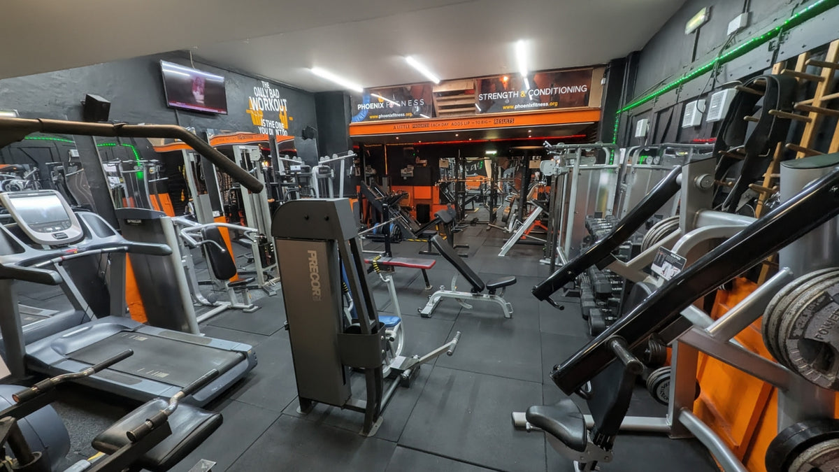 Treadmills and cardio machines at Phoenix Fitness Harrogate